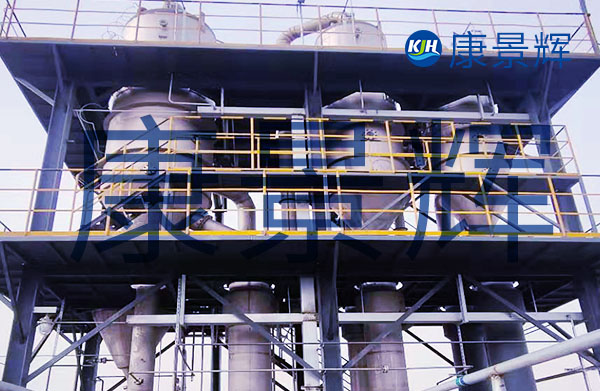 處理量5噸的雜鹽雙效蒸發(fā)器