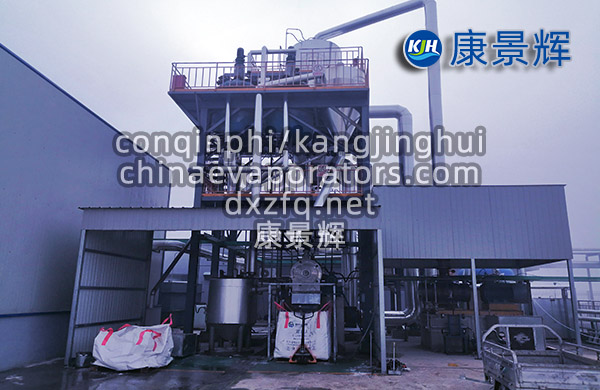 處理量10T/H硫酸鈉蒸發結晶器